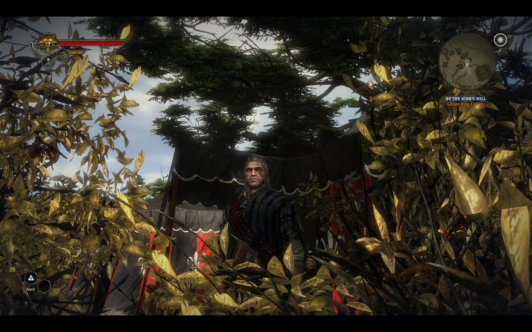 witcher22011-05-1721-4e8ds.png
